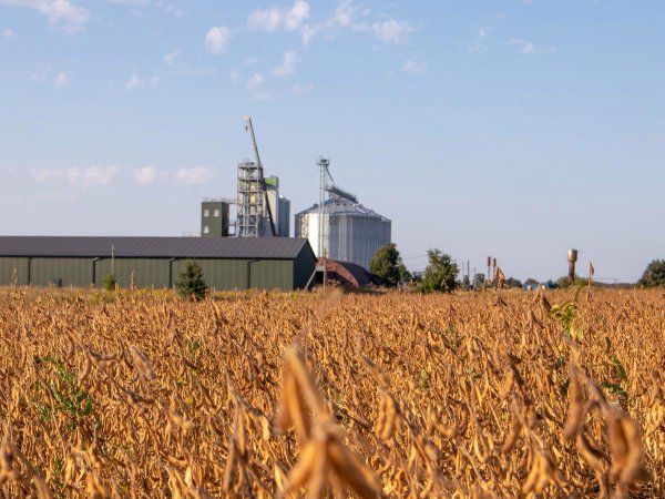 开云(中国)kaiyun网页版登录入口黑海沿岸的奥尔比亚从属国出土的陶罐残片透露-云开全站登录入口 - wwwkaiyuncom