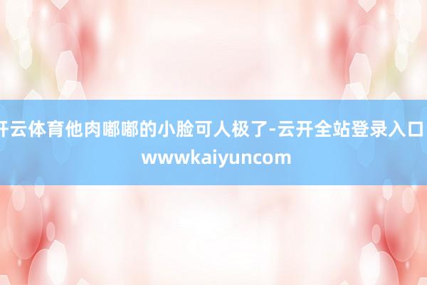开云体育他肉嘟嘟的小脸可人极了-云开全站登录入口 - wwwkaiyuncom