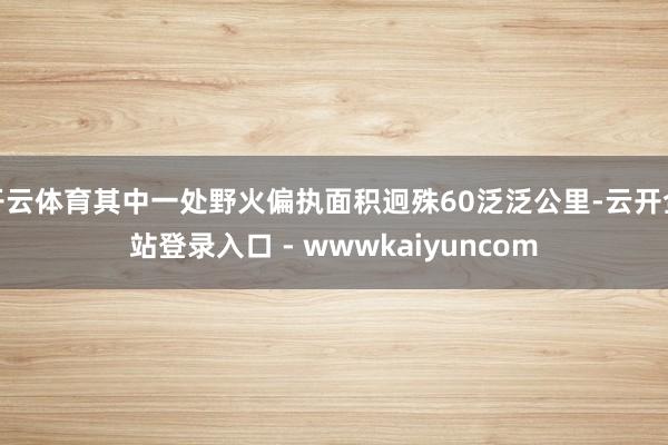 开云体育其中一处野火偏执面积迥殊60泛泛公里-云开全站登录入口 - wwwkaiyuncom