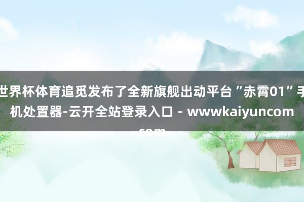 世界杯体育追觅发布了全新旗舰出动平台“赤霄01”手机处置器-云开全站登录入口 - wwwkaiyuncom