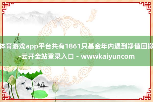 体育游戏app平台共有1861只基金年内遇到净值回撤-云开全站登录入口 - wwwkaiyuncom