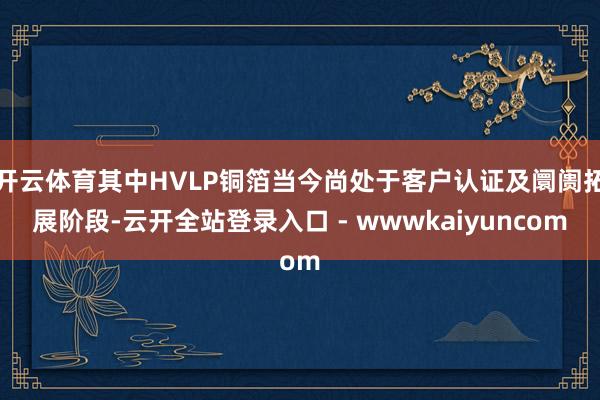开云体育其中HVLP铜箔当今尚处于客户认证及阛阓拓展阶段-云开全站登录入口 - wwwkaiyuncom