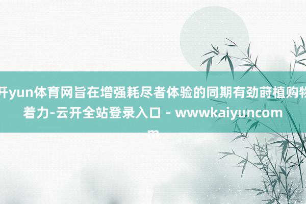 开yun体育网旨在增强耗尽者体验的同期有劲莳植购物着力-云开全站登录入口 - wwwkaiyuncom