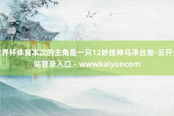 世界杯体育本次的主角是一只12妙技神马净台宠-云开全站登录入口 - wwwkaiyuncom