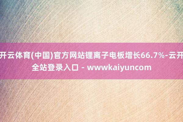 开云体育(中国)官方网站锂离子电板增长66.7%-云开全站登录入口 - wwwkaiyuncom