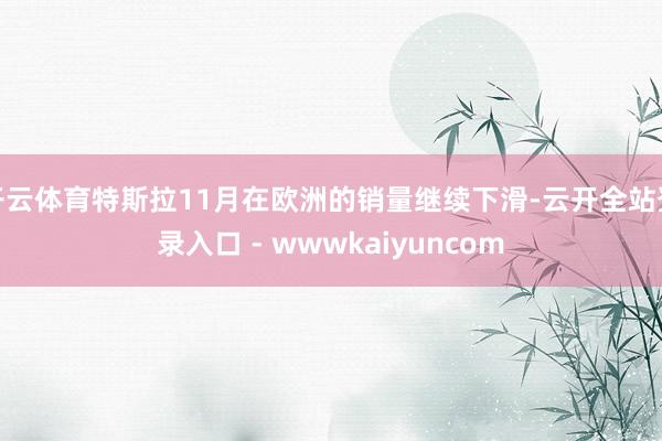 开云体育特斯拉11月在欧洲的销量继续下滑-云开全站登录入口 - wwwkaiyuncom