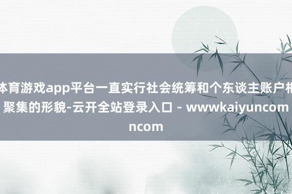 体育游戏app平台一直实行社会统筹和个东谈主账户相聚集的形貌-云开全站登录入口 - wwwkaiyuncom